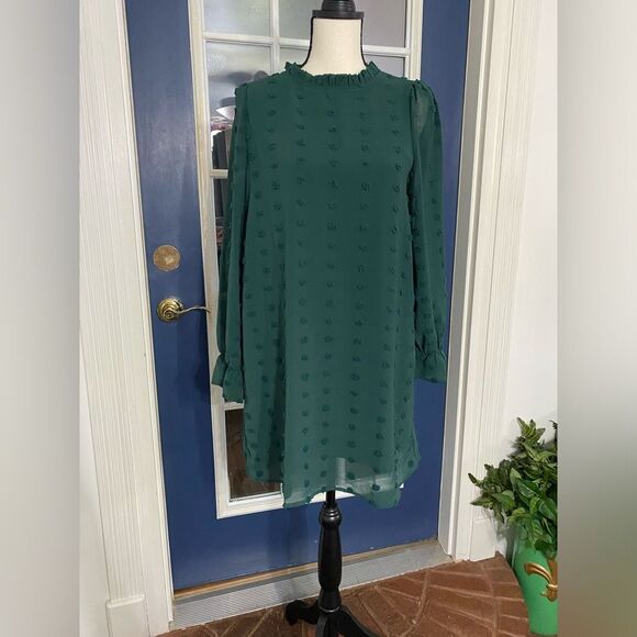 Adibosy new with tags chiffon green Swiss dot dress size small - Picture 1 of 7